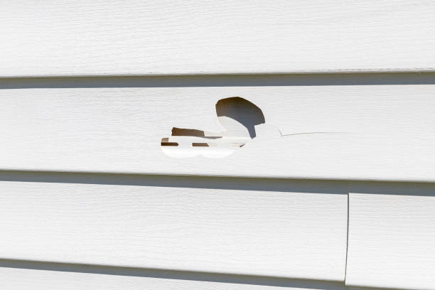 Best Custom Trim and Detailing for Siding  in Weaverville, CA